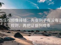 西瓜视频像排错：先查例子有没有当规则，再把证据列成条