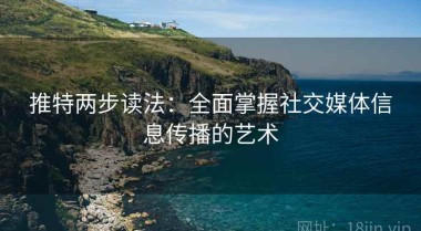 推特两步读法：全面掌握社交媒体信息传播的艺术