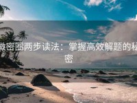 微密圈两步读法：掌握高效解题的秘密