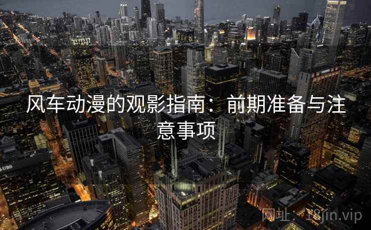 风车动漫的观影指南：前期准备与注意事项